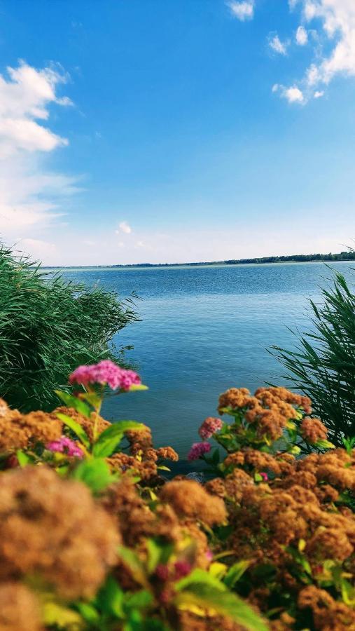 Madagascar Apartman Keszthely Esterno foto